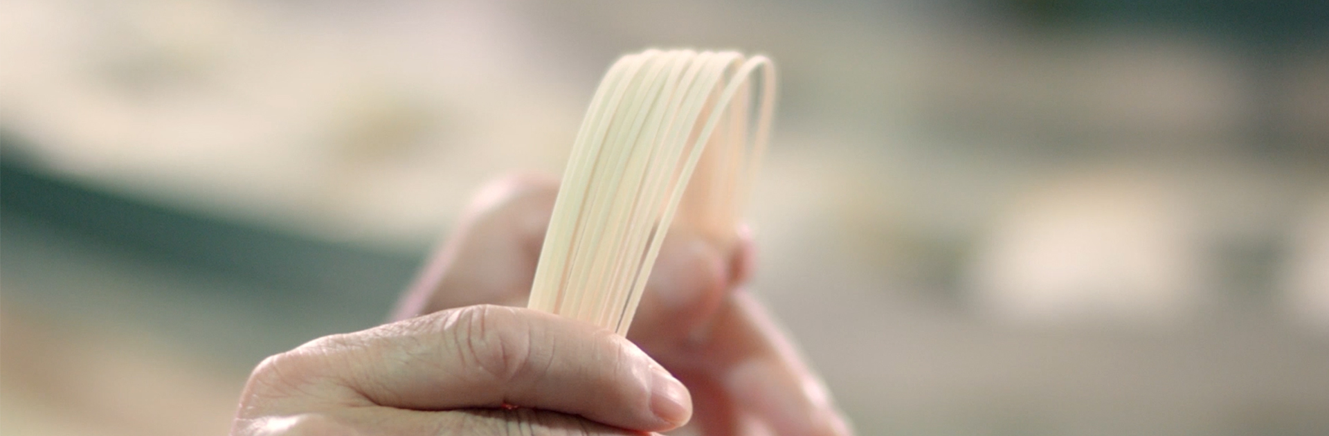 888�ڲ���-����Ϊ��,רҵ����