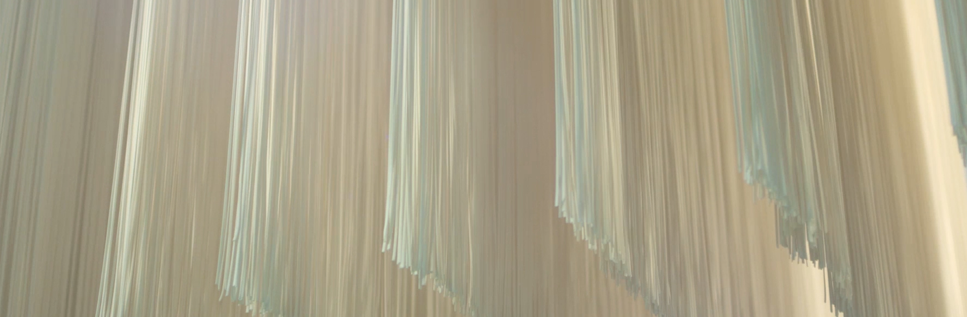 888�ڲ���-����Ϊ��,רҵ����